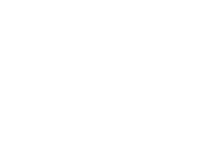 Introsign Logo